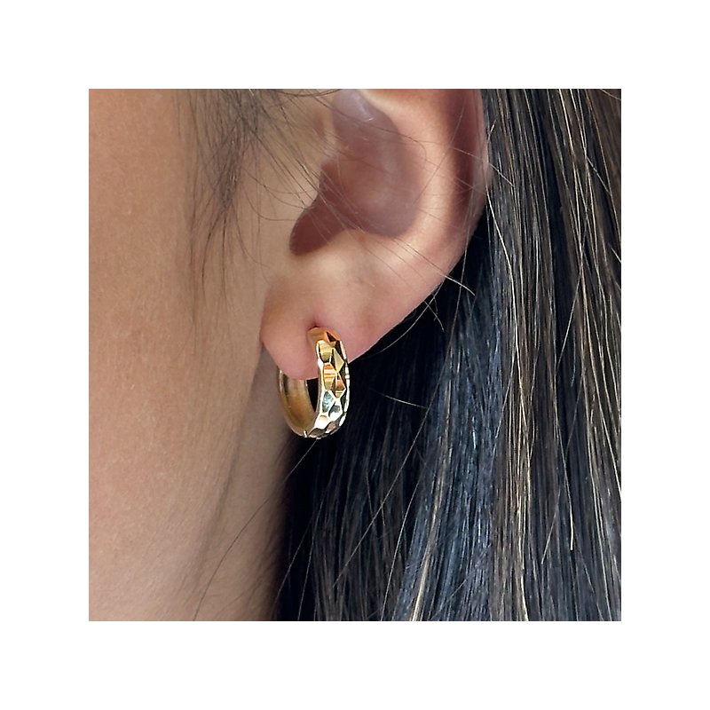 Ladies Fashion Hoop Earrings