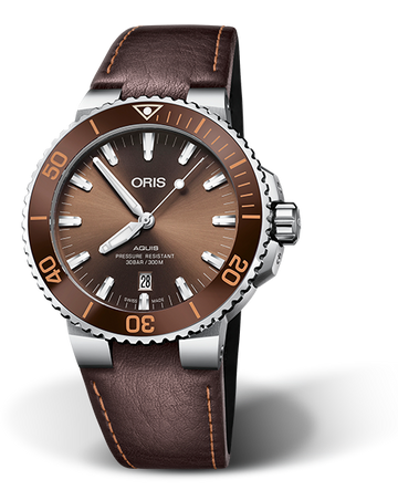 Aquis Brown Watch