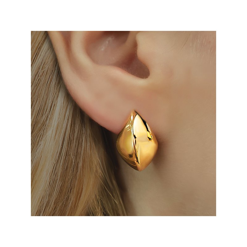 Ladies Fashion Earrings