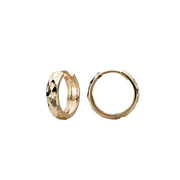 Ladies Fashion Hoop Earrings