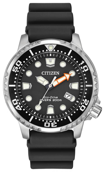 PROMASTER PROFESSIONAL DIVER