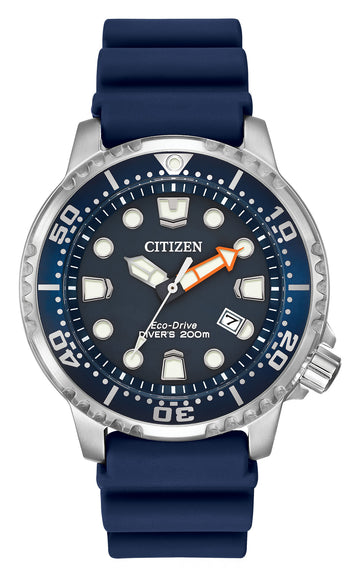 PROMASTER PROFESSIONAL DIVER