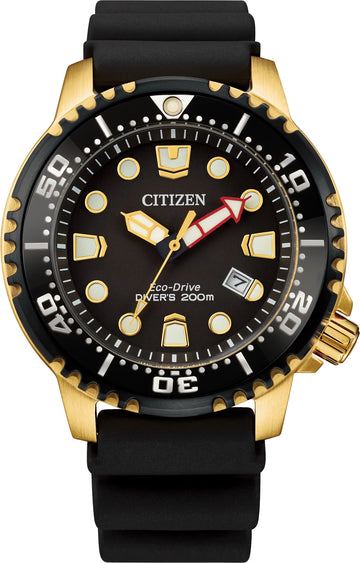 PROMASTER PROFESSIONAL DIVER