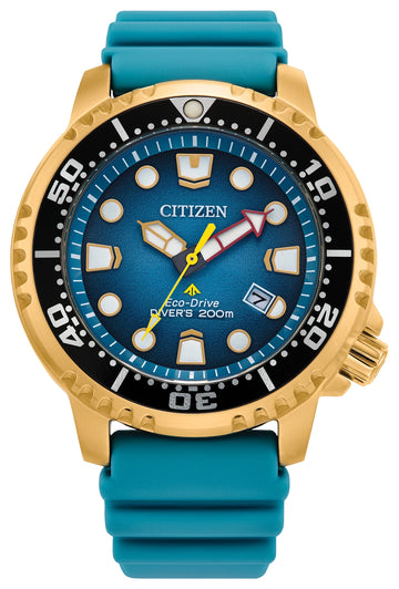 PROMASTER PROFESSIONAL DIVER