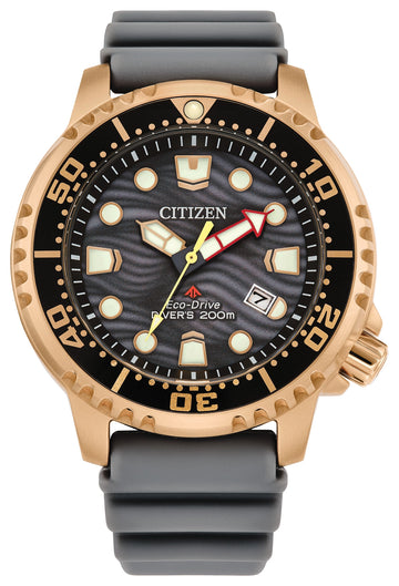 PROMASTER PROFESSIONAL DIVER