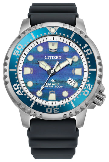 PROMASTER DIVE