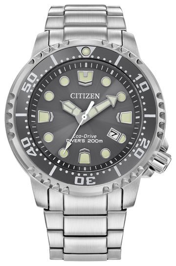 PROMASTER PROFESSIONAL DIVER