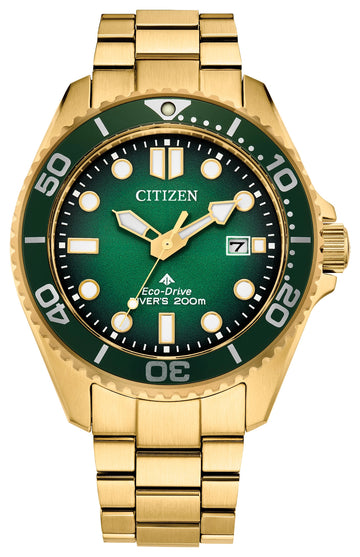 PROMASTER DIVER