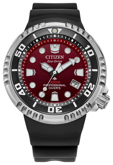 PROMASTER PROFESSIONAL DIVER