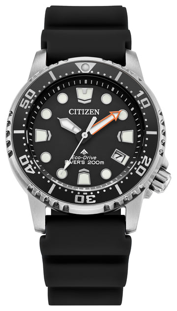 PROMASTER PROFESSIONAL DIVER