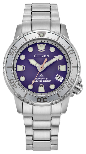 PROMASTER PROFESSIONAL DIVER