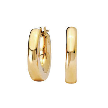 Ladies Fashion Earrings