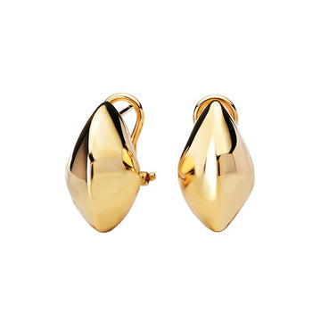 Ladies Fashion Earrings