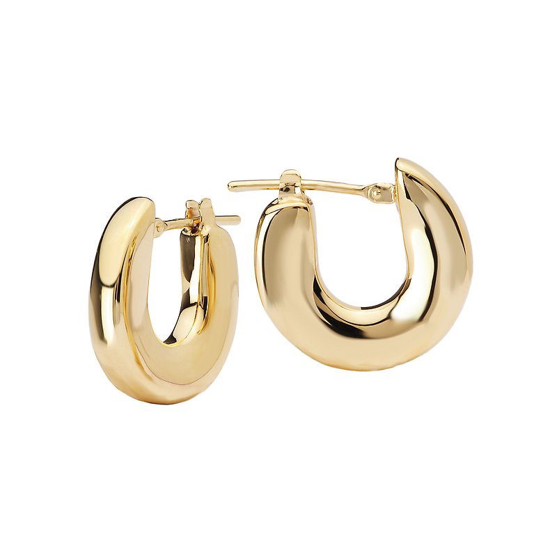 Ladies Fashion Earrings